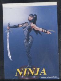 1/8 THE NINJA 