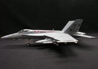 1:72 F/A-18 VFA-14 Tophatters (Grey Tail Version)